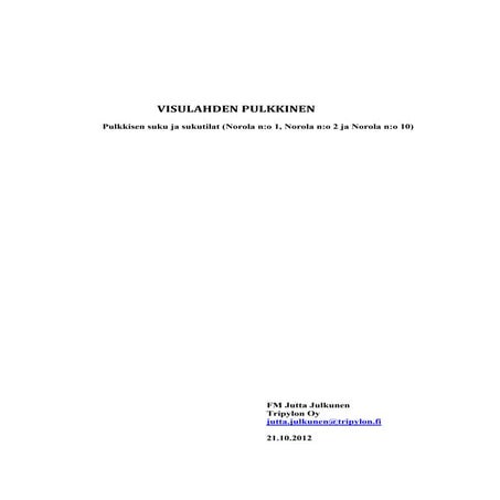 Visulahden Pulkkinen