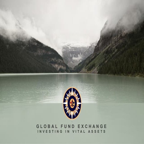 Vital assets-overview