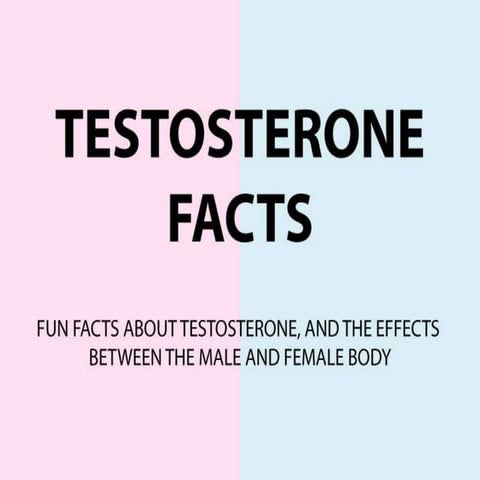Testosterone Facts