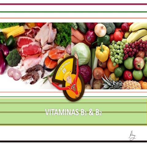 Vitamina b1 e b2 (complexo b)
