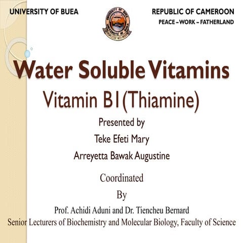 VITAMIN B1 [THIAMINE] MEDICINAL CHEMISTRY BY P. RAVISANKAR [ SOURCE ...