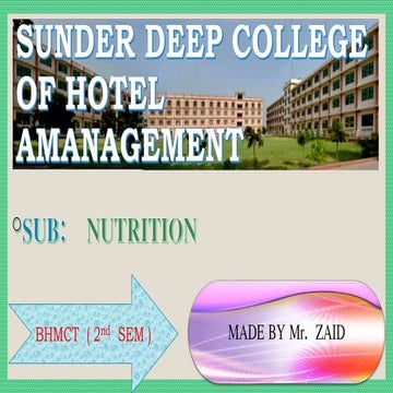 Vitamin b complex groups (nutrition)