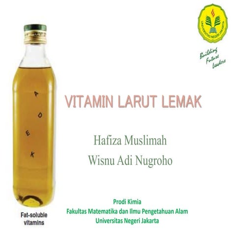Vitamin Larut Lemak
