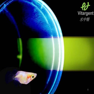 Vitargent introduction20130507