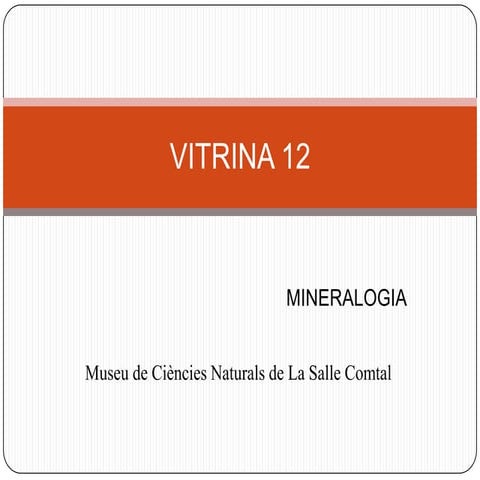 Vitrina 12 mineralogia