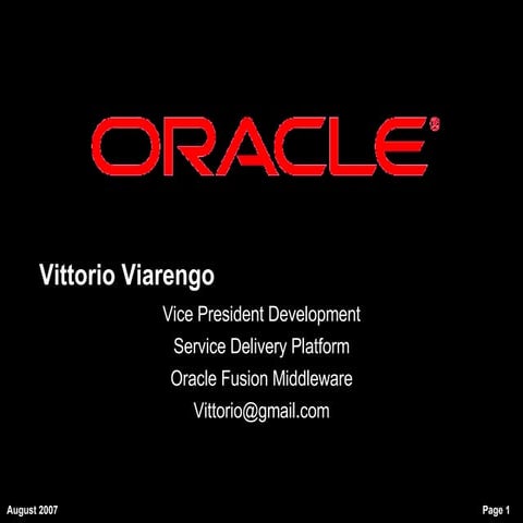 Vittorio Viarengo, ViVi software