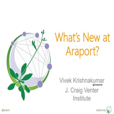 What's New at Araport - ICAR 2017