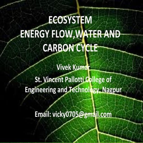 Vivek ecosystem h2 o, carbon cycle & energy flow
