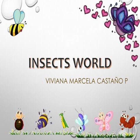 insects world