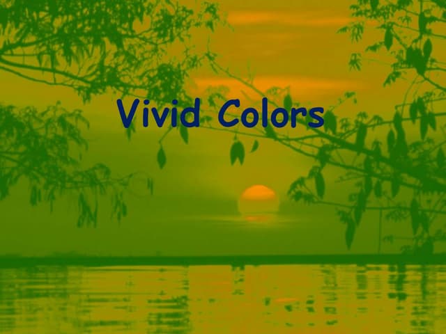 Vivid Colors of life in nature