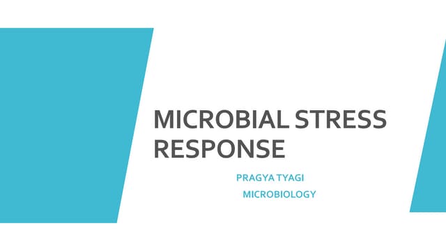 Microbial stress response