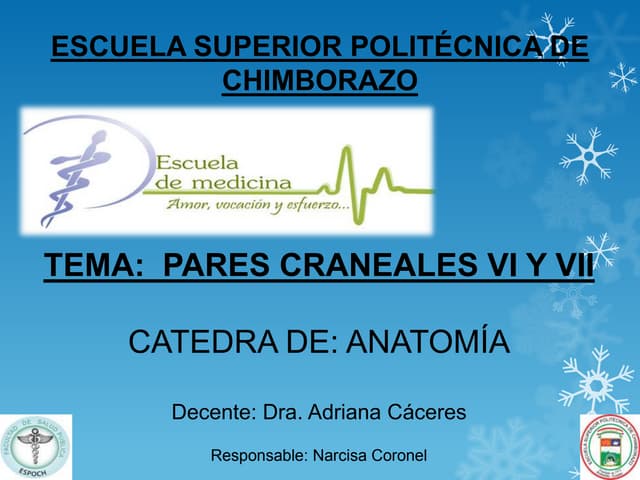 pares craneales 6 y 7