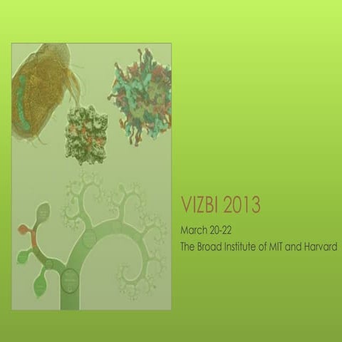 VIZBI 2013 - Overview
