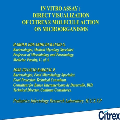 Vizualization effect on microbres citrex