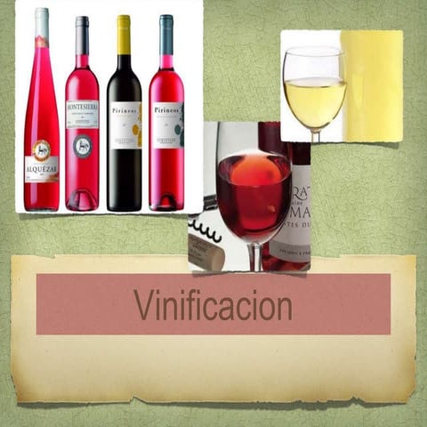Vinificaciones 