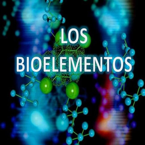 Bioelementos primarios 1 | PDF