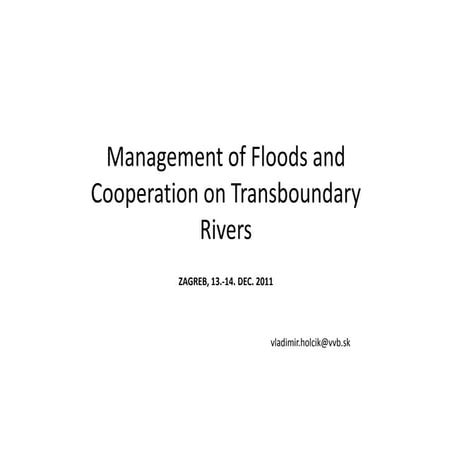 Workshop on Flood management in a transboundary context, 13-14.12.2011,Vladim...