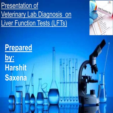 Liver Function Tests in Context to Veterinary Practice