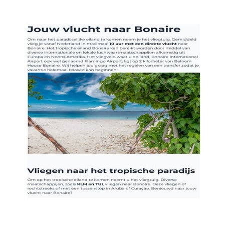 Vliegen naar bonaire.pdf