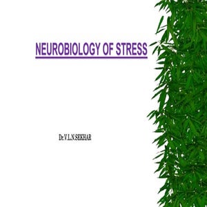neurobiology of stress 