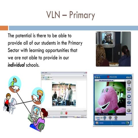 Vln primary report_october2010