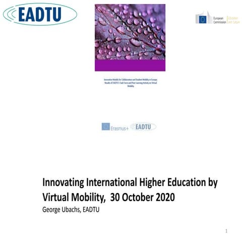 I-HE2020 Innovating International Higher Education by Virtual Mobility