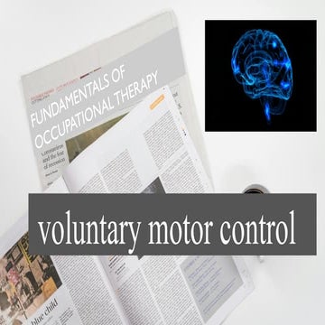 Voluntary Control and Assessment Physiotherapy Perspective.pptx