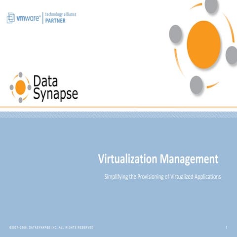 VMware and DataSynapse
