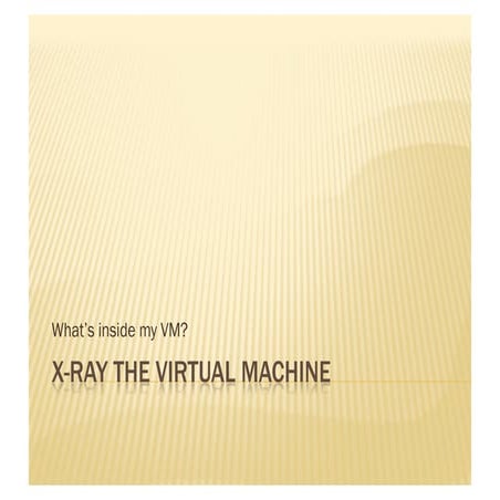 VMXray
