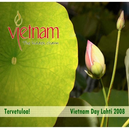 Vietnam Day Lahti Finland 2008 - Presentation