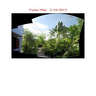 Vườn nhà   2-10-15