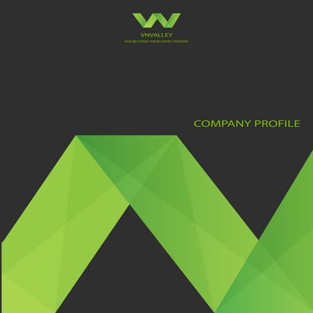 Vn valley.profile.en
