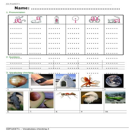 Voc 2 checking | PDF