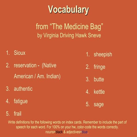 Vocab medicine bag