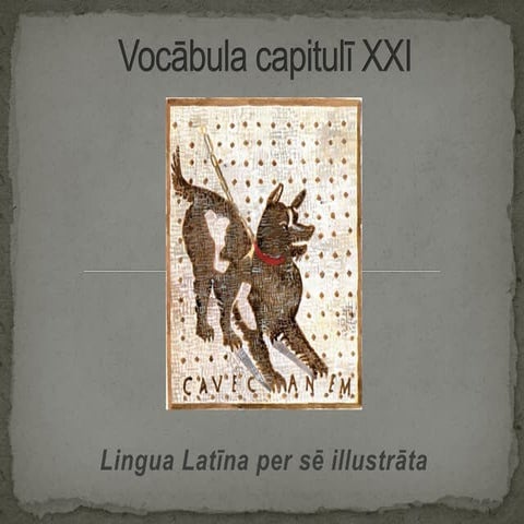 Vocabula capituli xxi LLPSI