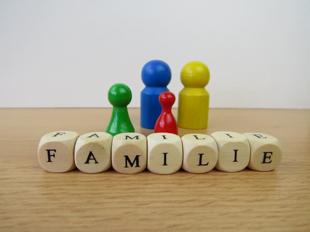 Vocabulaire_de_la_famille_FLE_A1_amelioré.pptx