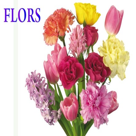 Vocabulari de les flors