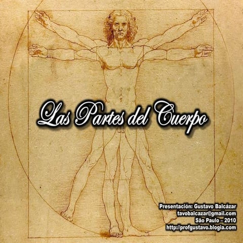 Vocabulario - Las partes del cuerpo