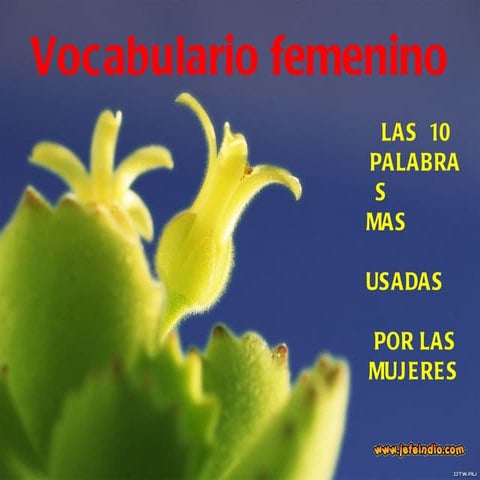 Vocabulario femenino