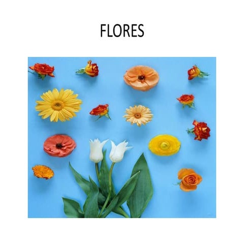 Vocabulario flores y árboles