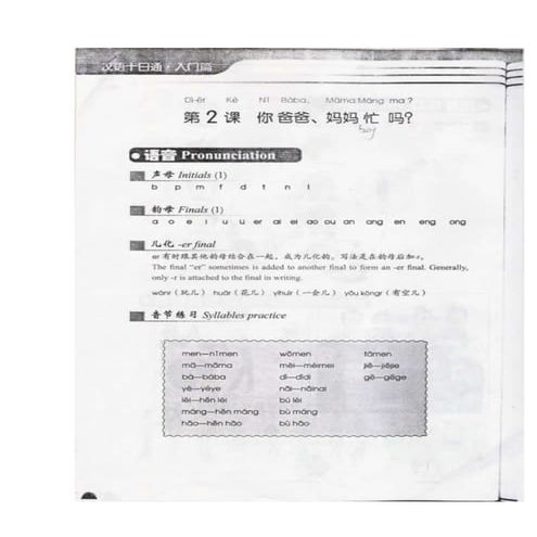 Chinese language visual data 4