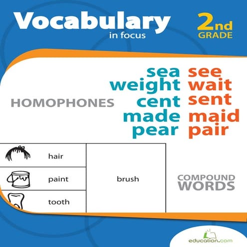 Vocabulary focus-workbook