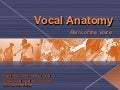 Vocal Anatomy