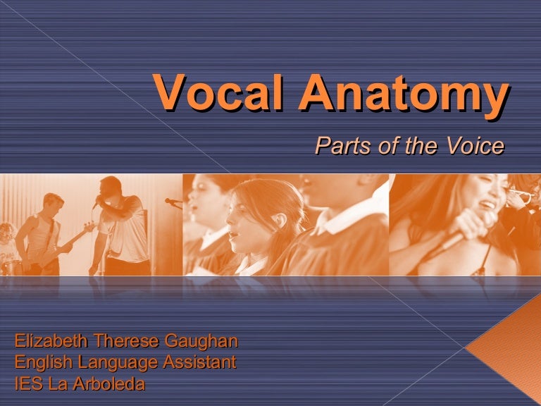 Vocal Anatomy