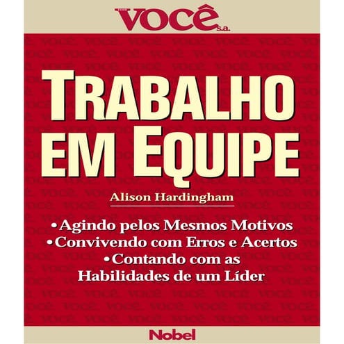 Voce s.a.   trabalho em equipe