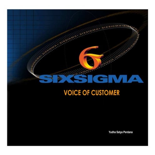 Define phase- Voice of Customer