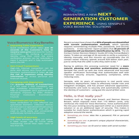 Our Voice Biometrics Experience with Global enterprises