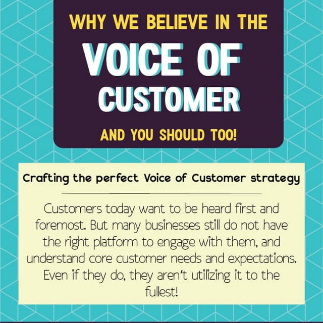 Voice of customer