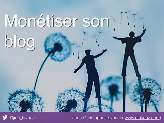 Voix du web 2016 - Monétiser son blog