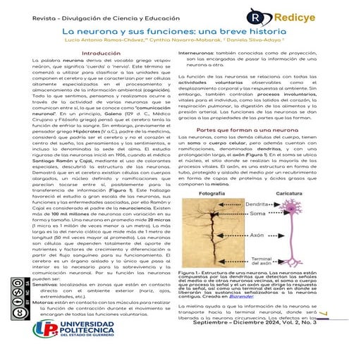 La neurona y sus funciones: una breve historia